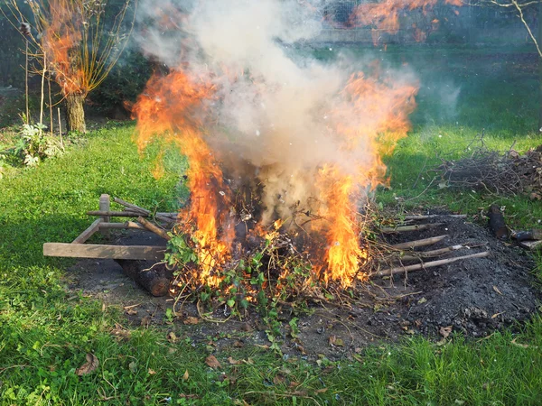 Горящий огонь — стоковое фото