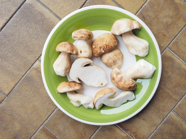 Funghi porcini — Foto Stock