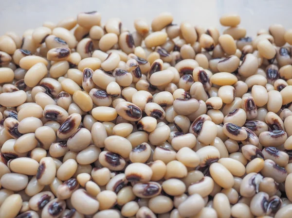 Ensalada de frijoles —  Fotos de Stock