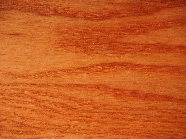 Quercia rossa fondo legno — Foto Stock