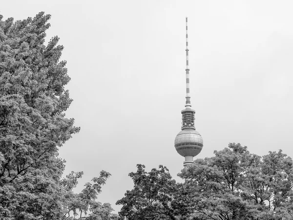 TV Tower Berlin — Stock Photo, Image