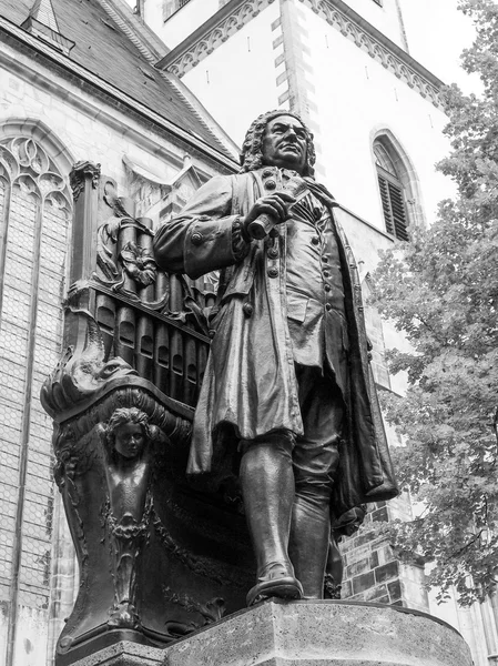 Neues Bach Denkmal — Photo