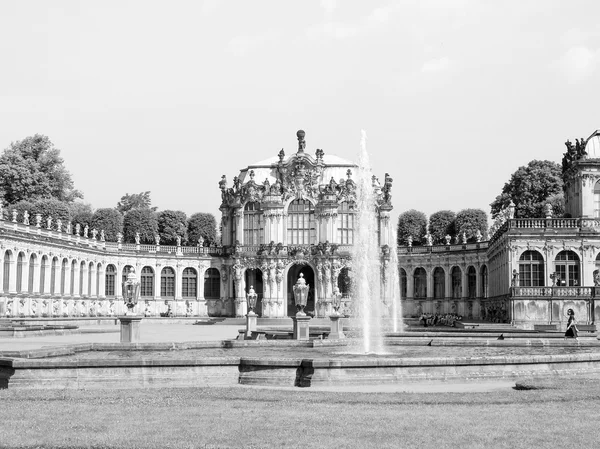 Dresden Zwinger Ordförande — Stockfoto