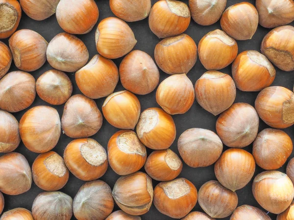 Hasselnöt frukt — Stockfoto