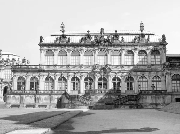 Zwinger w Dreźnie — Zdjęcie stockowe