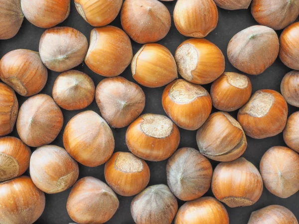 Hasselnöt frukt — Stockfoto