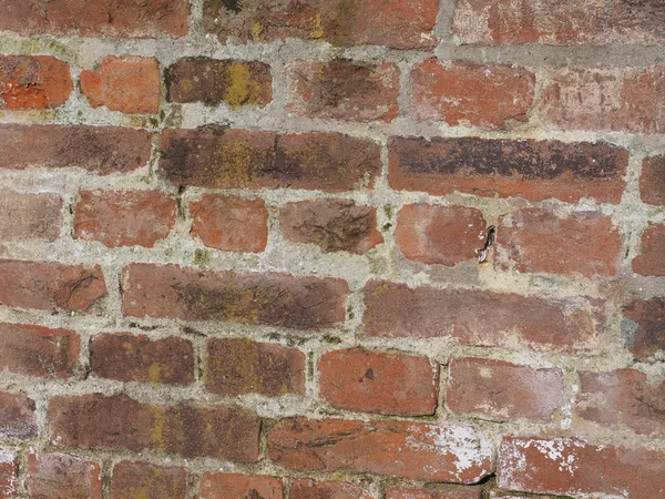 Rode bakstenen achtergrond — Stockfoto