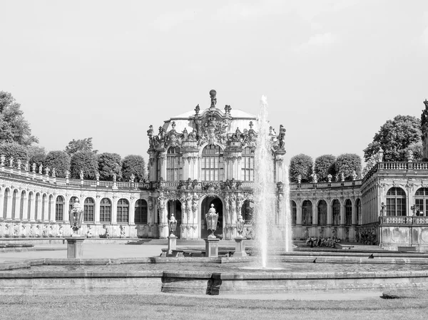 Dresde zwinger — Photo