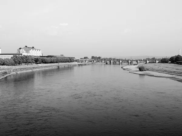 Rzeka Łaby w Dreźnie — Zdjęcie stockowe