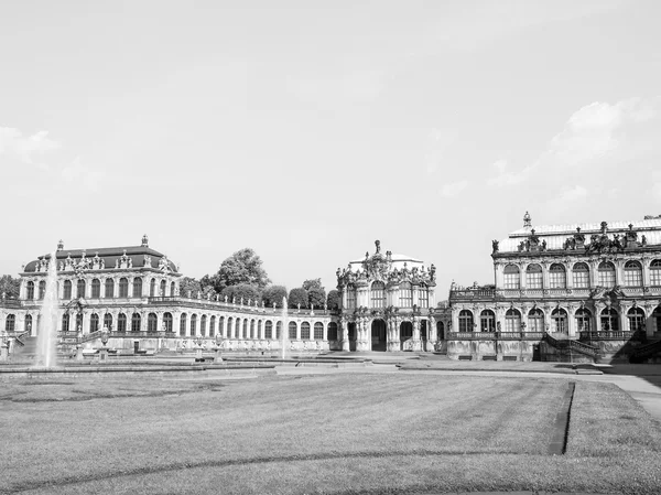 Dresde zwinger — Foto de Stock