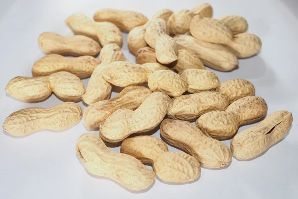 Плоды арахиса — стоковое фото