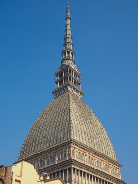 köstebek antonelliana turin