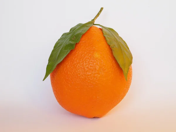 Orange frukt — Stockfoto