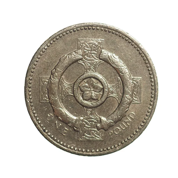 Jedna libra mince — Stock fotografie