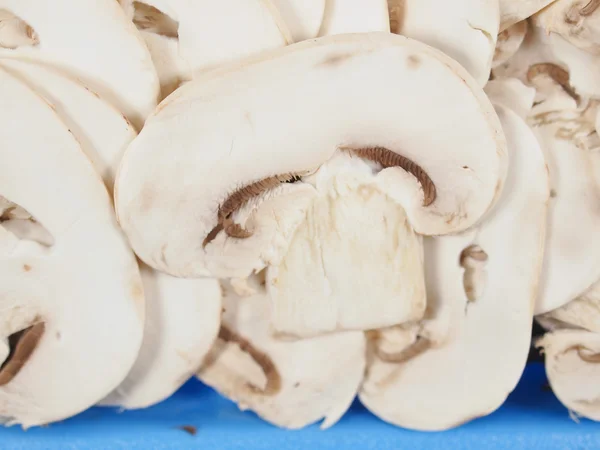 Шампиньонский гриб — стоковое фото