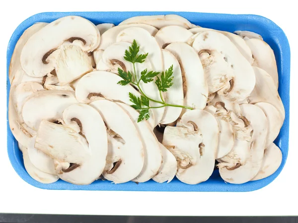 Champignon-Pilz isoliert — Stockfoto