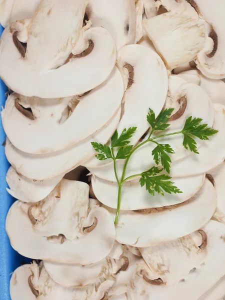 Champignon paddestoel achtergrond — Stockfoto