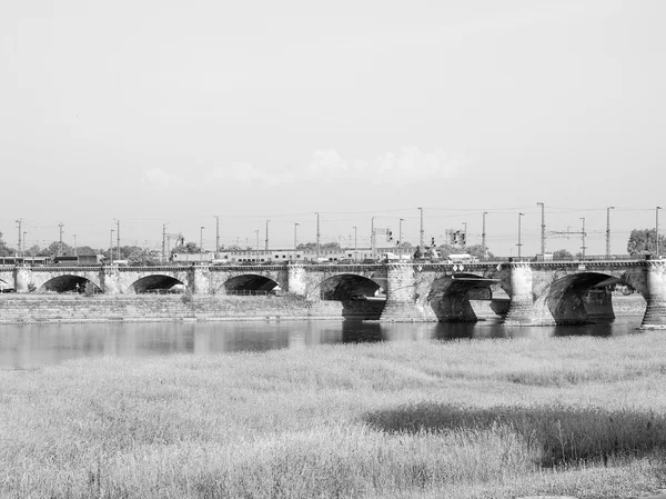 De Elbe in Dresden — Stockfoto