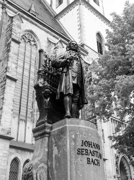 Neues Bach Denkmal — Photo