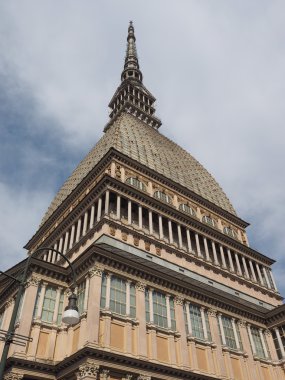 köstebek antonelliana turin