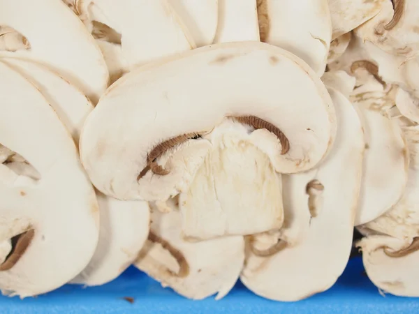 Fungo Champignon — Foto Stock