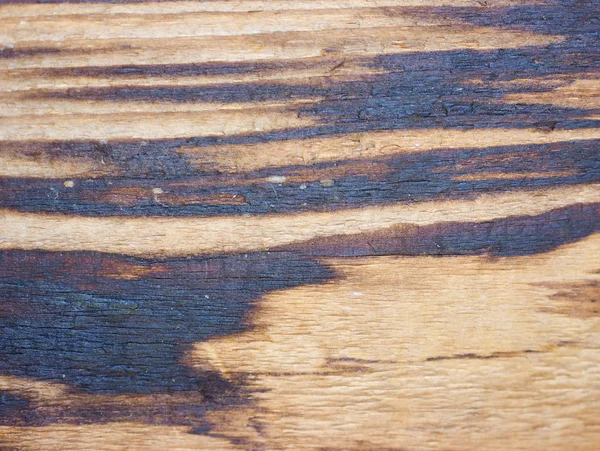 棕色木背景 — 图库照片