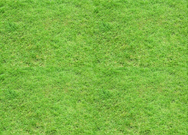 Struttura piastrellabile senza cuciture - prato di erba verde — Foto Stock