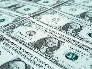 1 dolar dolar notları