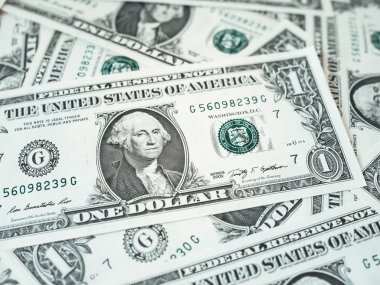 1 dolar dolar notları