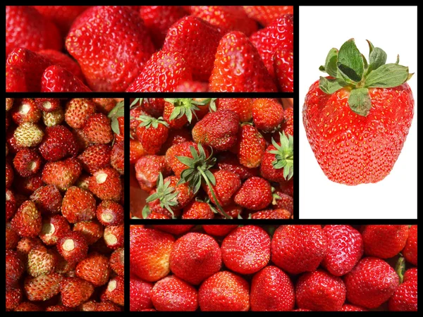 Strawberry collage — Stockfoto