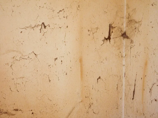 Retro görünüm örümcek ağı — Stok fotoğraf