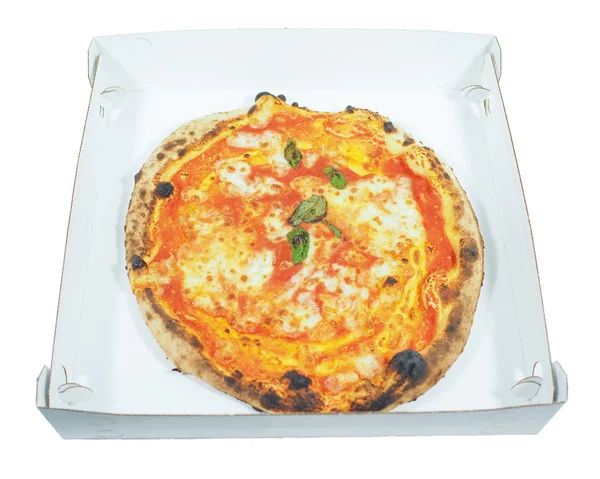 Margherita pizza sfondo isolato — Foto Stock