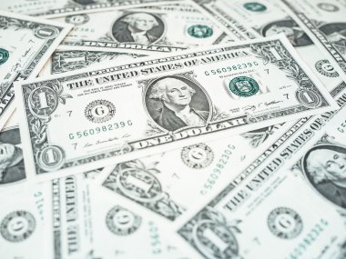 1 dolar dolar notları