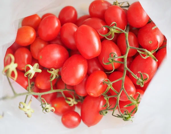 Röd Tomat grönsaker — Stockfoto