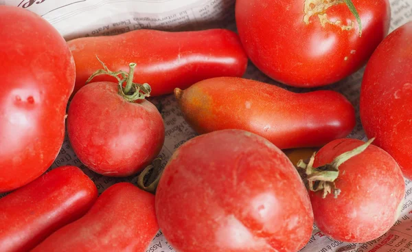Tomate rouge légumes — Photo