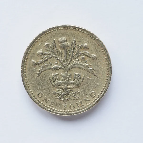 Moneta 1 Funt Wielkiej Brytanii — Zdjęcie stockowe