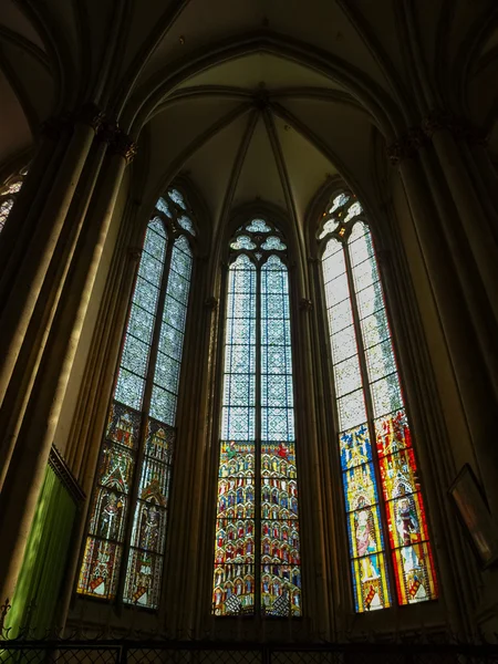 Kölner Dom — Stockfoto