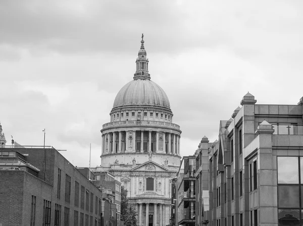 Catedral de San Pablo en Londres en blanco y negro — Foto de Stock