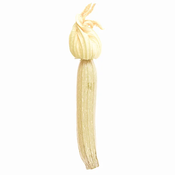 Zucchini im Retro-Look — Stockfoto