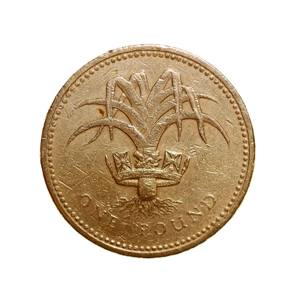 Retro look One Pound coin — Stock Photo, Image