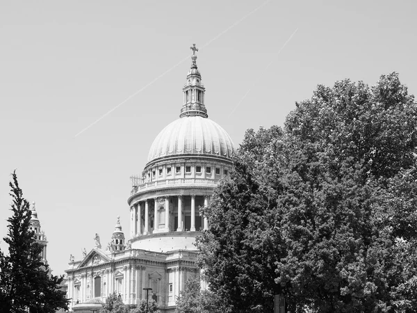 Black and white St Paul Cathedral in London — Stock Photo, Image