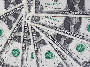 1 dolar dolar notları