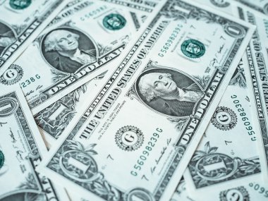 1 dolar dolar notları