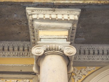 İyonik sermaye resim