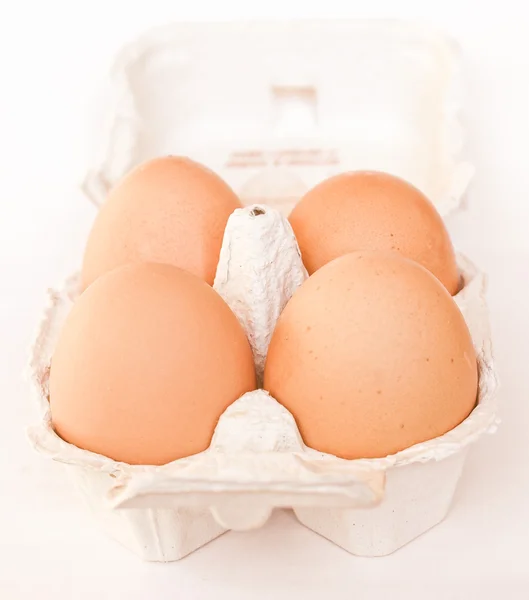 Retro ogende eieren foto — Stockfoto