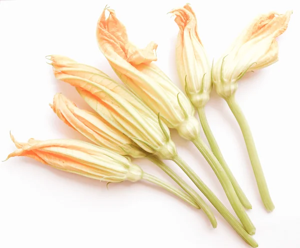 Retro aussehende Zucchini-Blüten — Stockfoto