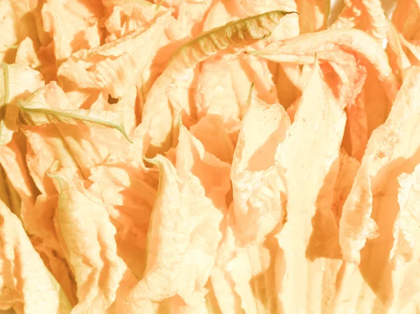 Retro anmutende Zucchini-Blüten — Stockfoto