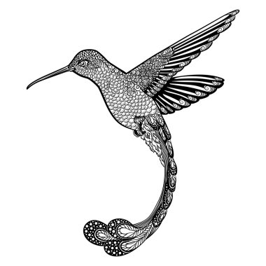 sinek kuşu, zentangle tarzı. vektör çizim
