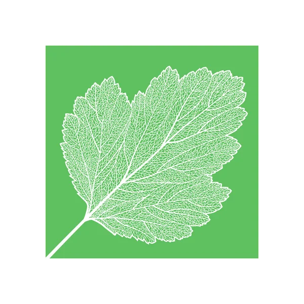 Esqueleto de hoja dibujado manualmente — Vector de stock