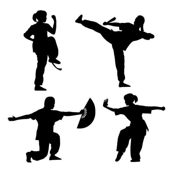 Wushu. — Archivo Imágenes Vectoriales